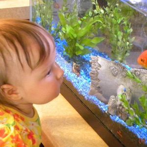 Meet your Posher, Mary